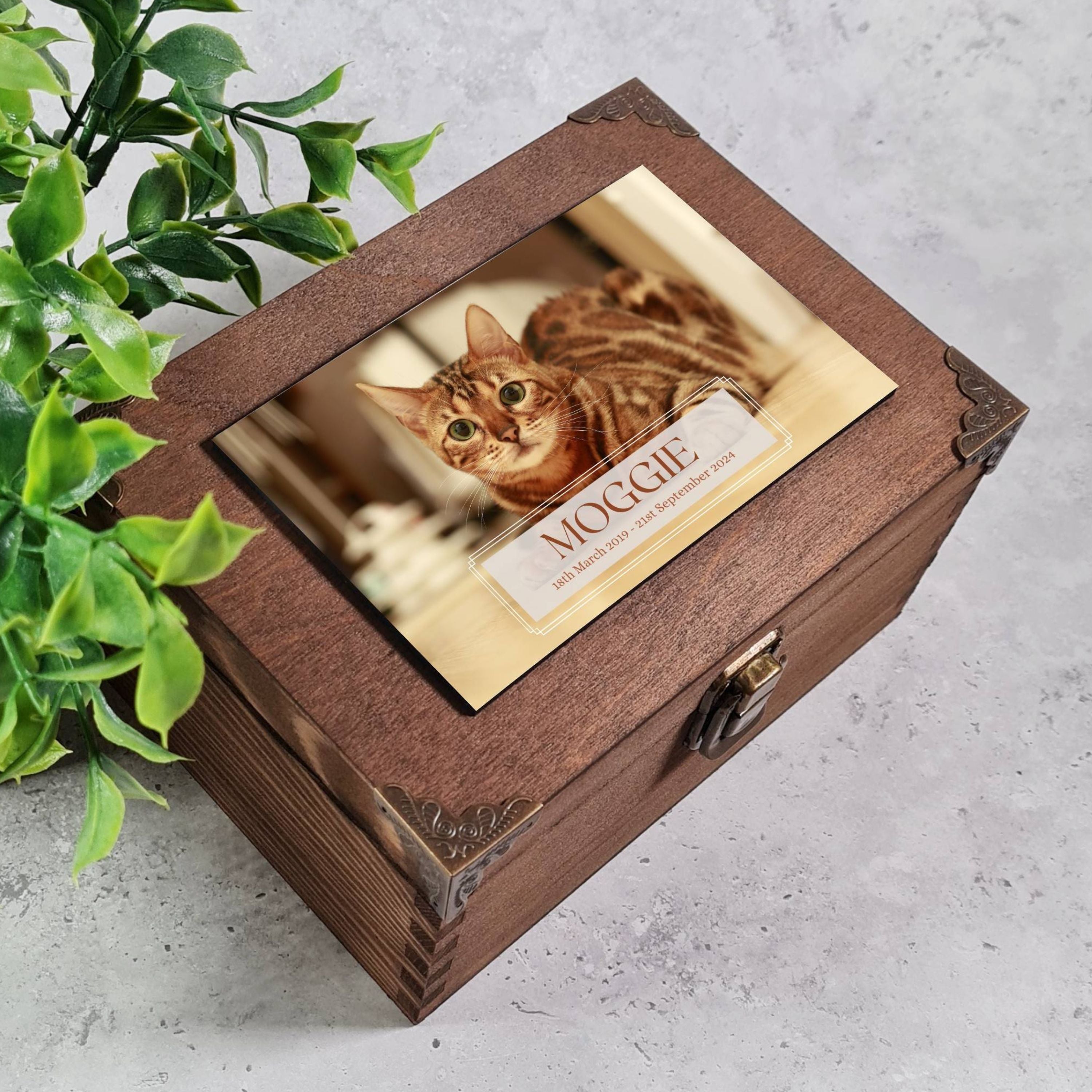 Cat Ashes Keepsake – Pet Loss Presents – Cat Remembrance Gifts