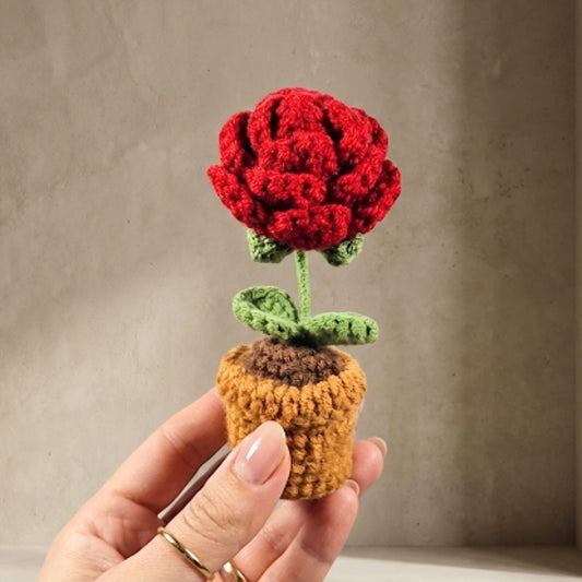 Mini Crochet Potted Everlasting Rose Flower