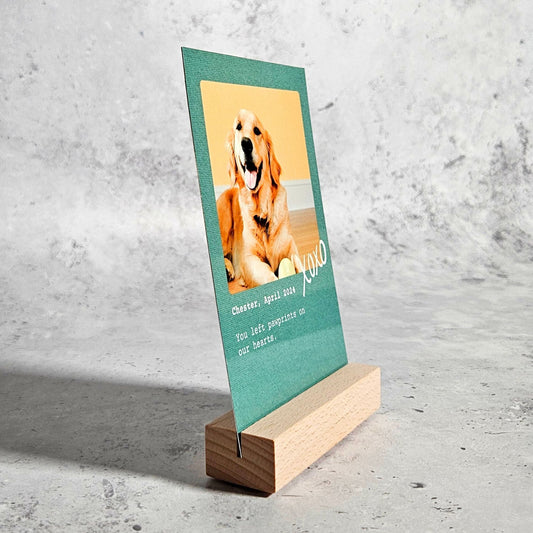 Personalised Metal Pet Photo Print with Stand