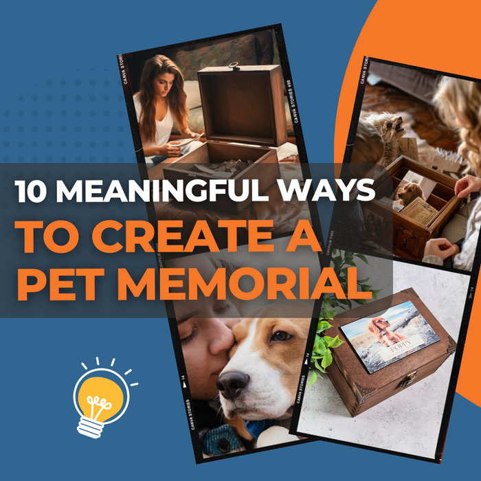 10 Meaningful Ways to Create a Memorial for a Pet Who Has Passed Away