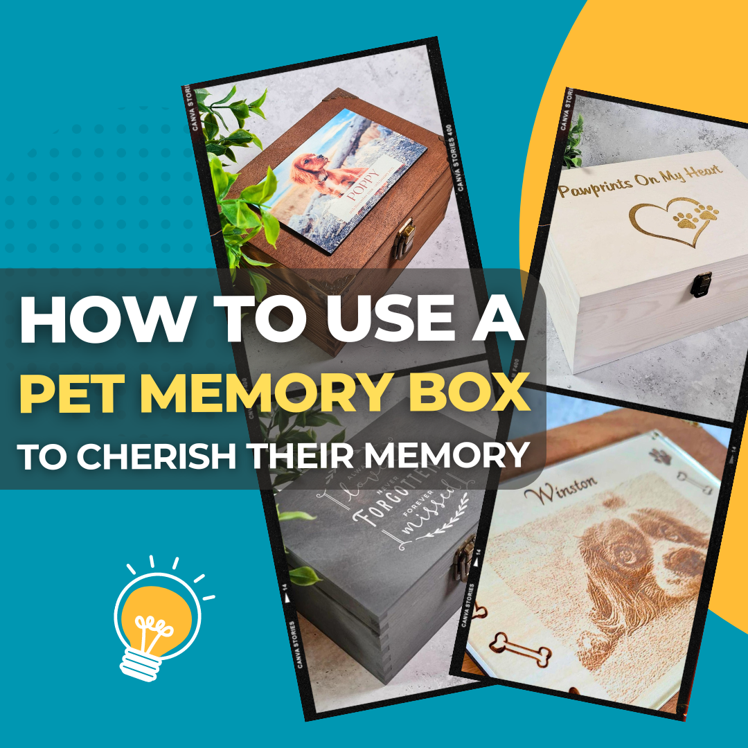 How to use a Memory Box to cherish your pet s memory after they