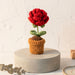 Mini Crochet Potted Everlasting Rose Flower