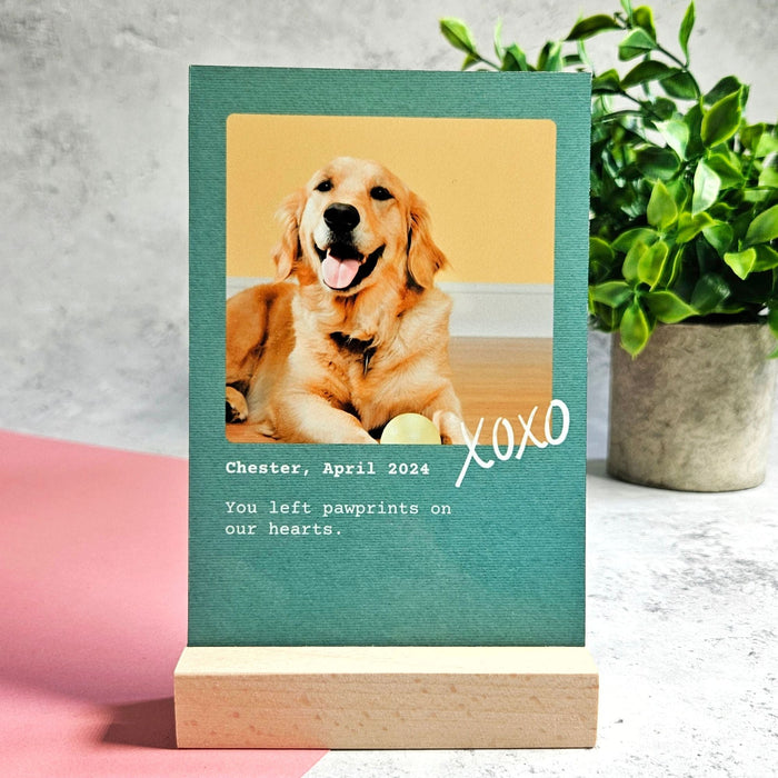 Personalised Metal Pet Photo Print with Stand