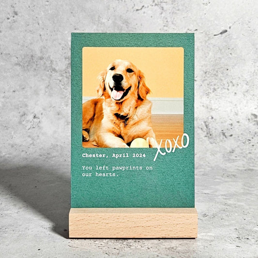 Personalised Metal Pet Photo Print with Stand