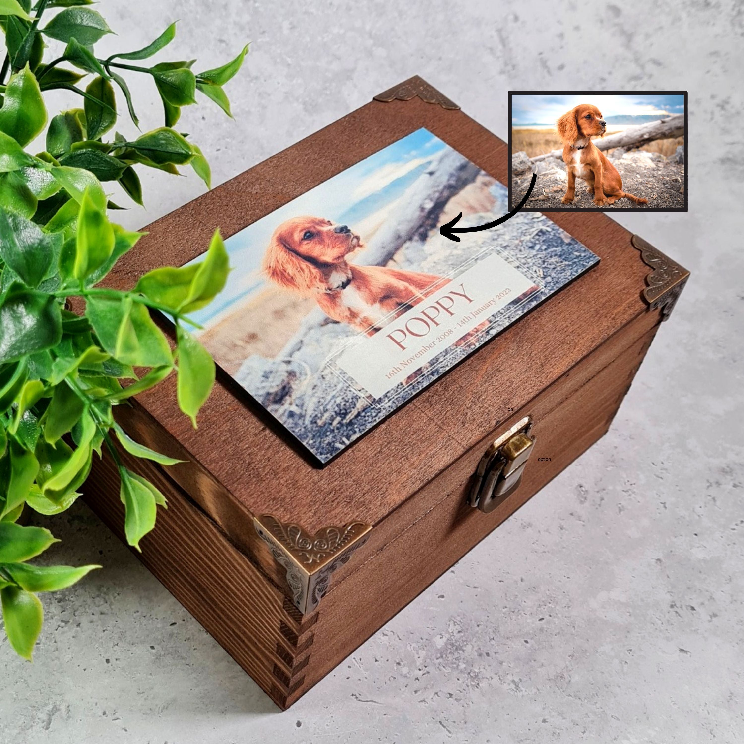 Personalised Pet Photo Keepsake Box I Pet Bereavement Memory Box - Memorial Ashes Urn