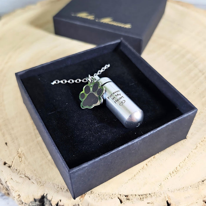 Pet Cremation Ashes Necklace