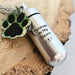 Pet Cremation Ashes Necklace