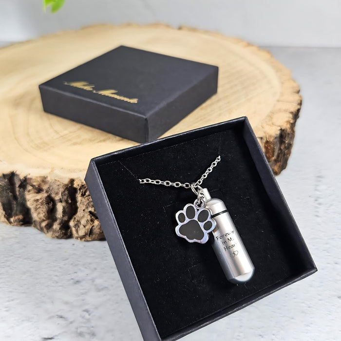 Pet Cremation Ashes Necklace