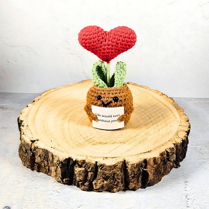 succulent love Positive Vibes Crochet Plant - Succulent Heart