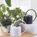 Stainless Steel Watering Can with Long Spout – Leakproof Indoor & Outdoor Plant Watering Can