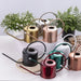 Stainless Steel Watering Can with Long Spout – Leakproof Indoor & Outdoor Plant Watering Can
