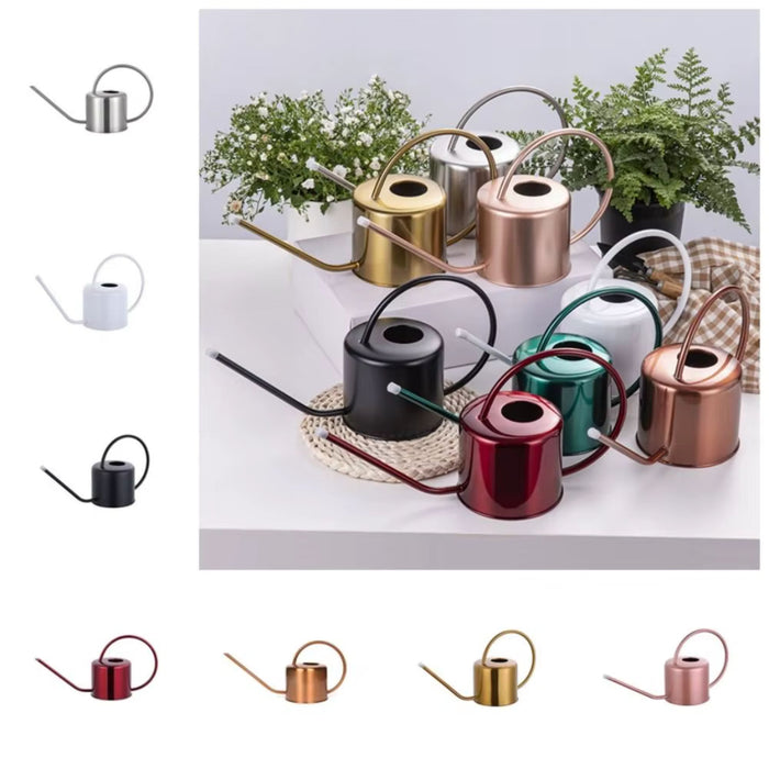 Stainless Steel Watering Can with Long Spout – Leakproof Indoor & Outdoor Plant Watering Can