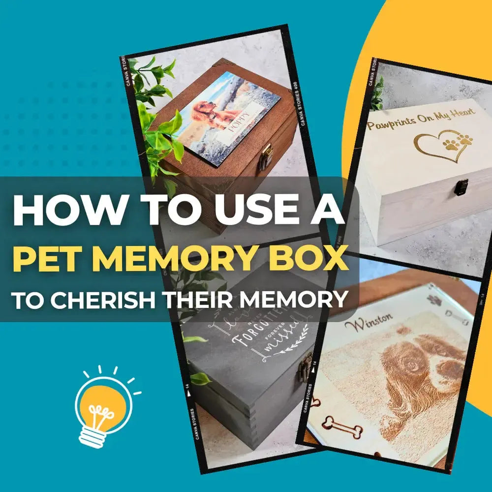 How to use a Memory Box to cherish your pet's memory after they pass away